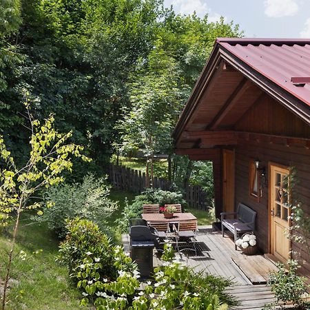 Ferienhaeuser Gerhart Haus im Ennstal Εξωτερικό φωτογραφία